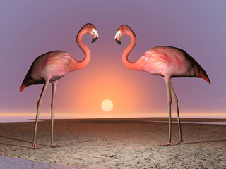 Flamingos date - 3D render