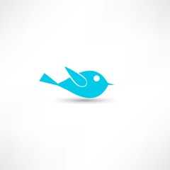 bird icon