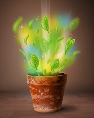 Glowing leaves coming out of flowerpot