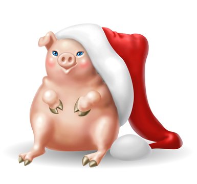 maiale natalizio