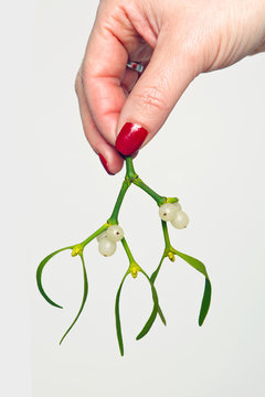 Womans Hand Holding Mistletoe