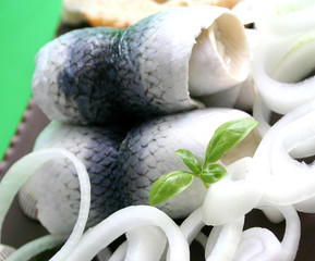 Rollmops