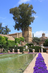 Obraz premium Cordoba