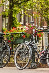 Naklejka premium Summer view of bicycles in the Dutch city Amsterdam