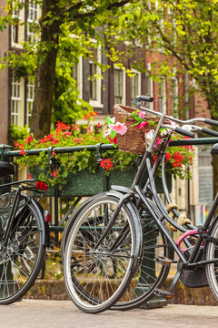 Summer view of bicycles in the Dutch city Amsterdam