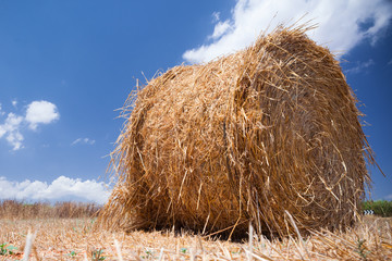 hay bales on the field