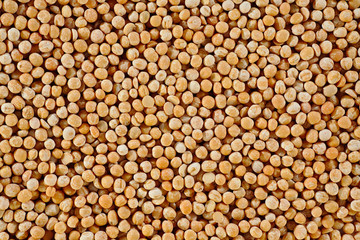 Fototapeta premium The texture of coarse dry peas horizontal