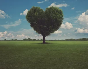 Papier Peint photo Lavable Arbres Heart Tree