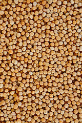 The texture of coarse dry peas vertical