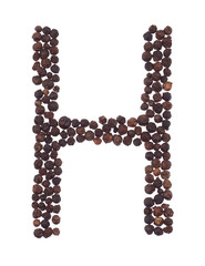 letter H made of pepper