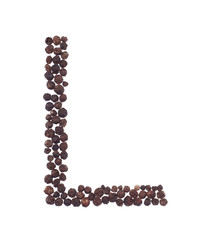 letter L made of pepper