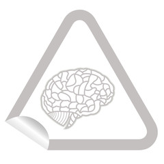 brain model on sticker icon web button. EPS10 illustration