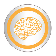 vector human brain icon set