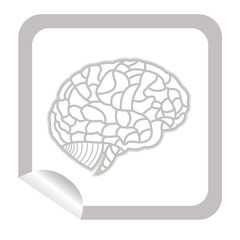 brain model on sticker icon web button. EPS10 illustration