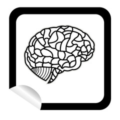 vector human brain icon set