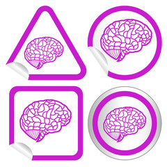 brain model on sticker icon web button. EPS10 illustration