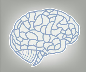 brain model vector illustration