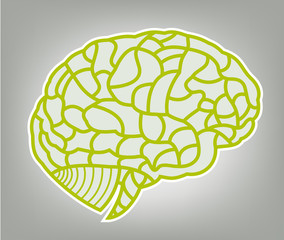 vector brain model