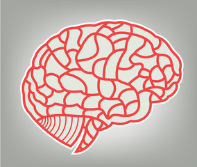 vector brain model