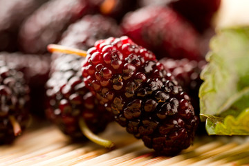 Mulberry