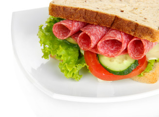 Tasty sandwich with salami sausage and vegetables