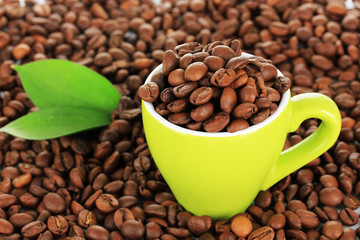 Coffee beans in cup close-up