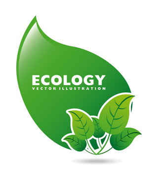 ecology label