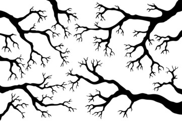 Branches theme image 1