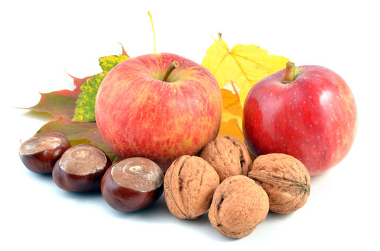 Herbst - obst