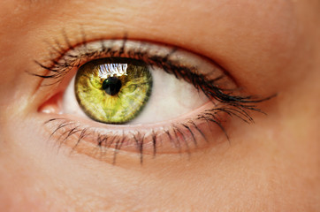 Fototapeta premium Eye