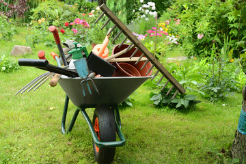 Garten 80