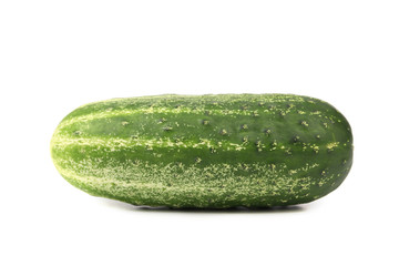 Single green cucumber