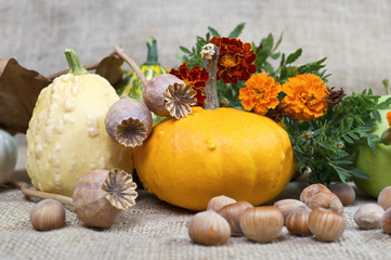 Autumn pumpkins and tagetes flowers.