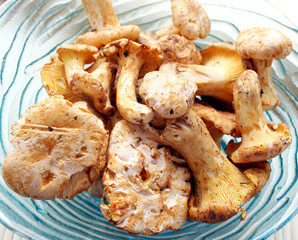 Pfifferlinge