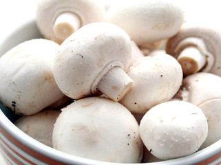 weisse champignions