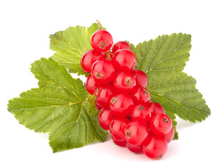 Red currants and green leaves still life