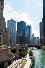 The river and the buildings of Chicago