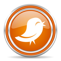 twitter icon