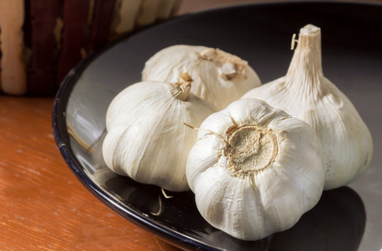 Still life garlic on dish