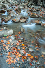brook