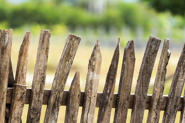 Walls, wood.