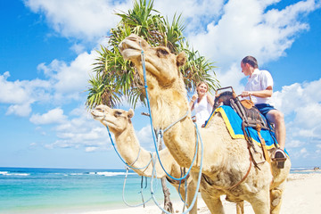 camel ride on wedding day 