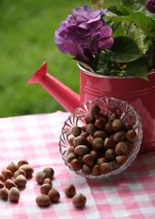 Haselnüsse in herbstlicher Dekoration im Garten