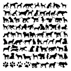 vekt&ouml;rel k&ouml;pek siluetleri