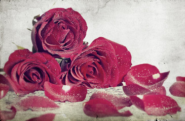 Vintage Red roses