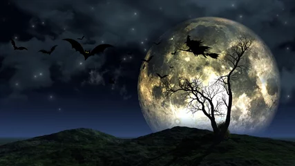Fotobehang Volle maan en bomen Halloween landschap