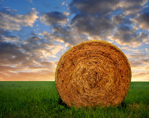 straw bale in a lush green field in the sunset