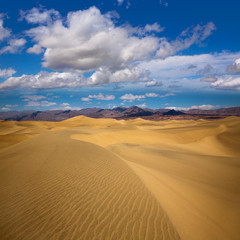 Obraz na płótnie Canvas Mesquite Wydmy pustynia w Death Valley National Park