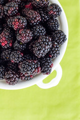 Blackberries on Green