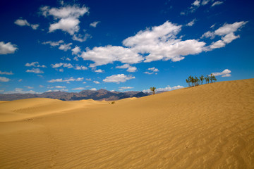 Fototapeta na wymiar Mesquite Dunes desert in Death Valley National Park